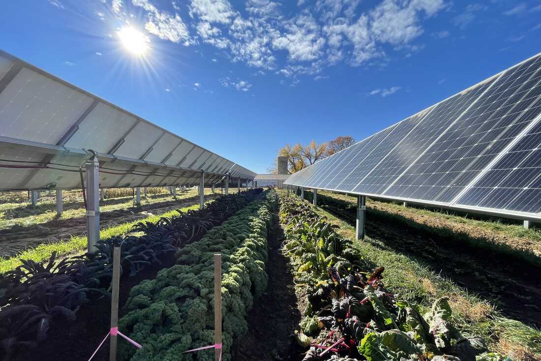 Setting a Vision for Industry Decarbonization: Designing Transformative Energy Investments
